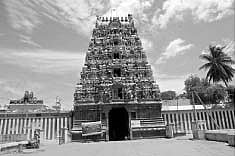 ஆலங்குடி ஆபத்சகாயேசுவரர் கோயில் அகழி சீரமைக்கப்படுமா?