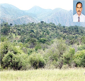 பழங்குடியினரின் மூலிகை மருத்துவம்!