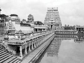 சிந்தைக்கினிய தில்லைக் கலம்பகம்