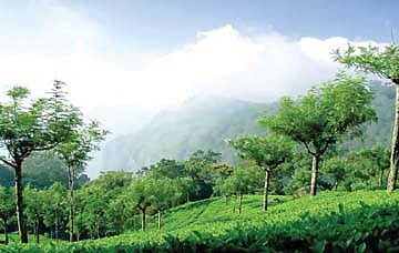 மலைக் குகைகள்; மர்மச் சுரங்கங்கள்!