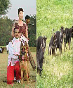 9 மாதம் முதல் 9 வயது வரை!