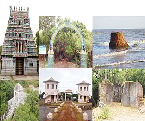 கோடியக்கரை வங்கக் கடலோரத்தில் வன உயிரின சரணாலயம்