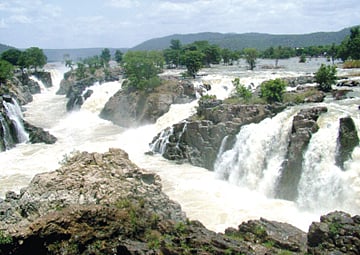 பார்க்க.. சுவைக்க... குதூகலிக்க.... ஒகேனக்கல்!