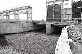 ஆகாயத் தாமரையால் 150 மெகாவாட் உற்பத்தி இழப்பு!