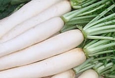 ஏராளமான சத்துக்கள் நிறைந்த முள்ளங்கி