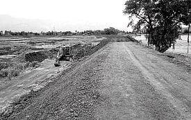 மராமத்துப் பணி என்ற பெயரில் 350 பனைமரங்கள் அழிப்பு!