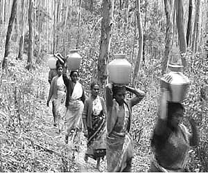 35 ஆண்டுகளாக குடிநீருக்காக அவதிப்படும் கிராம மக்கள்!