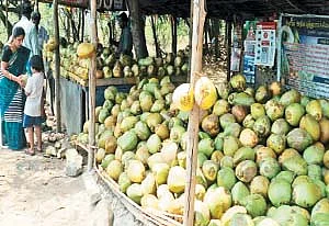 இளநீரில் இத்தனை நன்மைகளா?