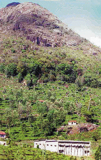 நிலத்தடி நீரை உறிஞ்சும் தனியார் குடிநீர் ஆலைகள்