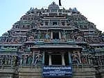 4. பொய் பேசும் கொன்றை