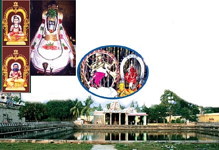 சிவஞான சூரியன்