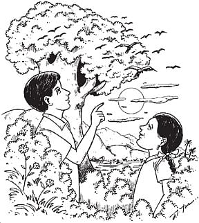 நல்ல பொழுதையெல்லாம்...