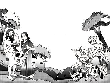 பௌர்ணமி முயல்