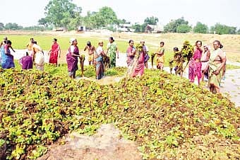 சிதிலம் அடைந்துவரும் அனந்தபுரீஸ்வரர் கோயில்