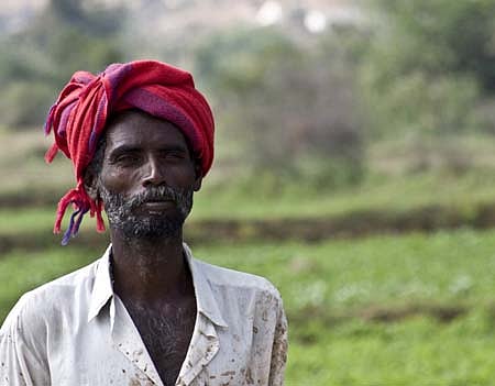 விவசாயிகளுக்கு மேலும் நிவாரணம்: ஆராய உயர் நிலைக் குழு நியமனம்: ஜெயலலிதா