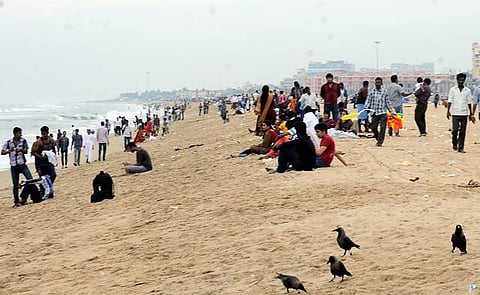 மெரினா பீச்சில் பஜ்ஜி சாப்பிட விருப்பமா? இந்த செய்தியைப் படித்துவிட்டு பதில் சொல்லலாம்