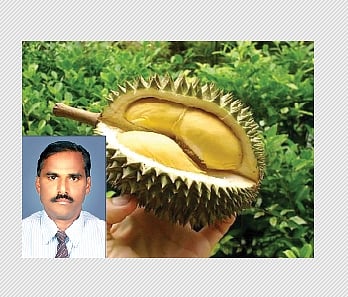 பழம் வாங்கப் பதிவு செய்ய வேண்டும்!