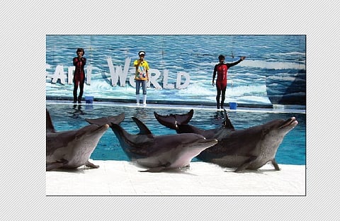 சந்தைக்கு நடுவே செல்லும் ரயில்!