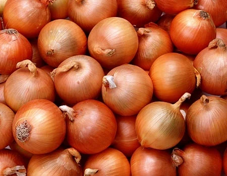 வெங்காய சாகுபடியில் விளைச்சலை அதிகரிக்க...