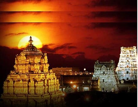 ஏழுமலையான் தரிசனம்:
18 மணிநேரம் காத்திருப்பு