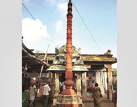 நன்மைகள் பொங்கும்!