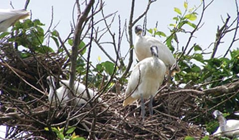 குற்றம் பார்க்கின் சுற்றம் இல்லை