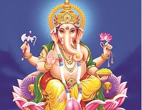 இலைகளும், பலன்களும்