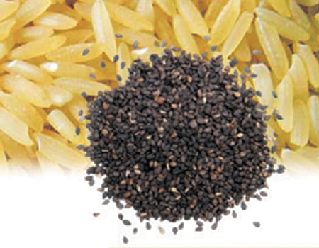 ஆயுள்காக்கும் ஆயுர்வேதம்: வாயுவின் சீற்றமும் மனதில் பயமும்!