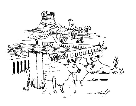 ஆதீண்டு குற்றி: முத்திரைப் பதிவுகள் -17