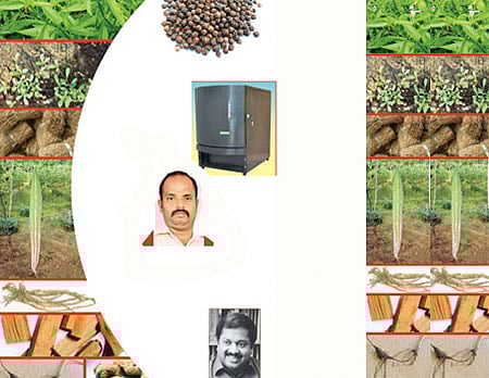 சர்க்கரை நோய்க்கு நிலவேம்பு!