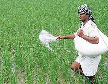 அதிக மகசூல் பெற உயிர் உரங்களை பயன்படுத்த அறிவுரை