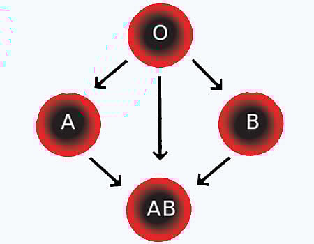70 சத குழந்தைகள் ரத்த சோகையால் பாதிப்பு