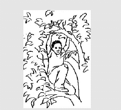 முத்துக் கதை