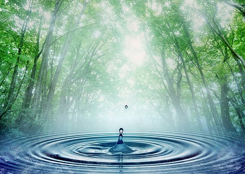 கோடை கால நோய்களில் இருந்து தற்காத்துக்கொள்ளும் வழிமுறைகள்