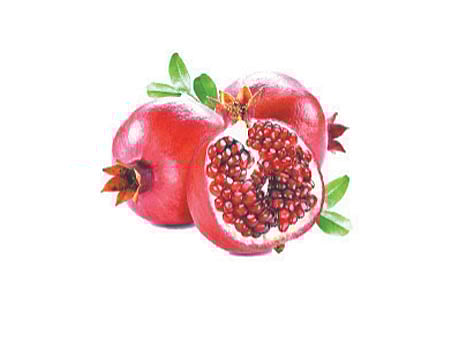 ஆயுள்காக்கும் ஆயுர்வேதம்: புண்ணை ஆற்றக் கூடிய சிகிச்சைகள்!