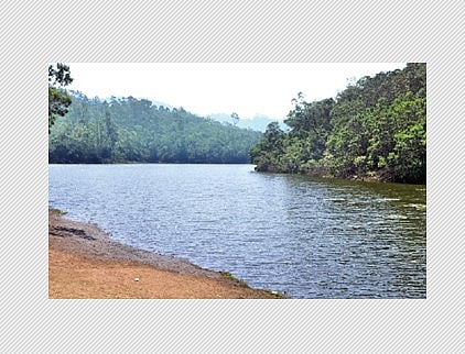 மனதை மயக்கும் பேரிஜம் ஏரி!