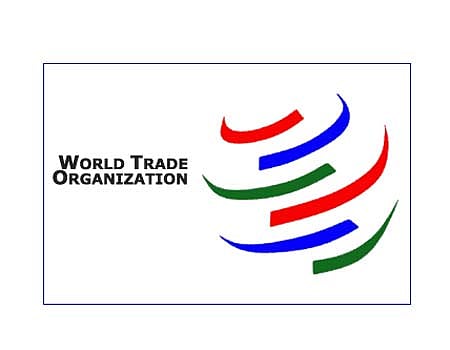 அறிவுசாா் சொத்துரிமை கட்டுப்பாடுகள் நீக்குவதில் விரைந்து ஒருமித்த கருத்து அவசியம்: உலக வா்த்தக அமைப்பில் இந்தியா வலியுறுத்தல்