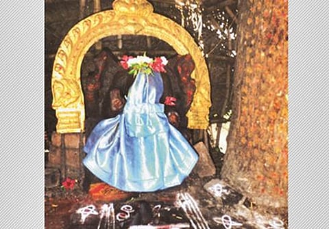 சீனிவாச நல்லூர் தலைவெட்டி மாரியம்மன்!