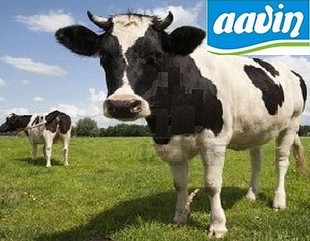 சிவகங்கை ஆவின் நிறுவனத்தில் துணை மேலாளர் பணி