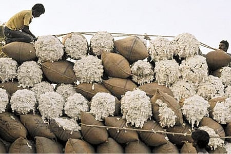 "பருத்தி ஏற்றுமதியில் உலகளவில் இந்தியா முதலிடம்': மத்திய அரசு தகவல்