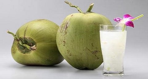 20. பசி ருசி அறியாது