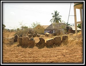 அத்தியாயம் 15 - நடுகற்கள் வகைகளும் வகைப்பாடும் - 8