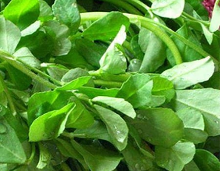 சுவையோ சுவை!