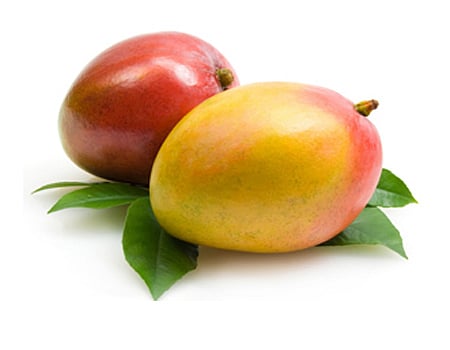 ஆயுள் காக்கும் ஆயுர்வேதம்: மாம்பழம் சாப்பிட்டுவிட்டு பால் அருந்தக் கூடாது!