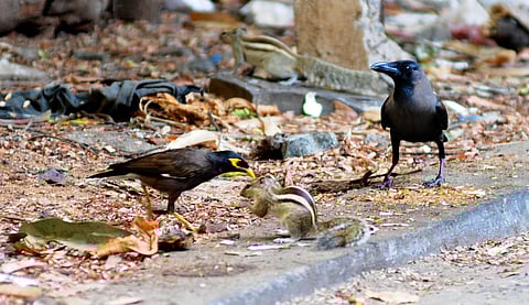 முத்தரப்பு பேச்சு வார்த்தை...