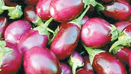 கோப்புப் படம்