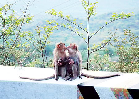 மனுஷங்களுக்கு இதெல்லாம் சகஜமப்பா...