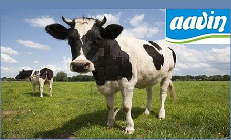 ஆவின் நிறுவனத்தில் கொட்டிகிடக்கும் வேலைவாய்ப்புகள்: பிளஸ் டூ, ஐடிஐ முடித்தவர்கள் விண்ணப்பிக்கலாம்