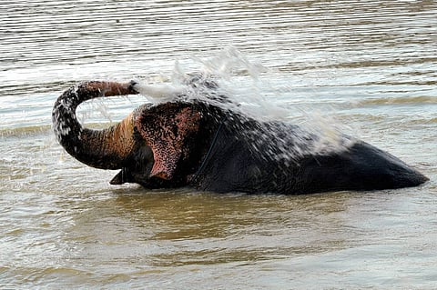 எட்டிப் பாக்காதீங்கடா...!
