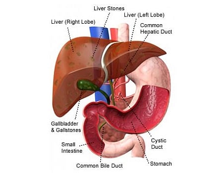 ஆயுள் காக்கும் ஆயுர்வேதம்: பித்தப்பை கற்கள் கரைய...!
